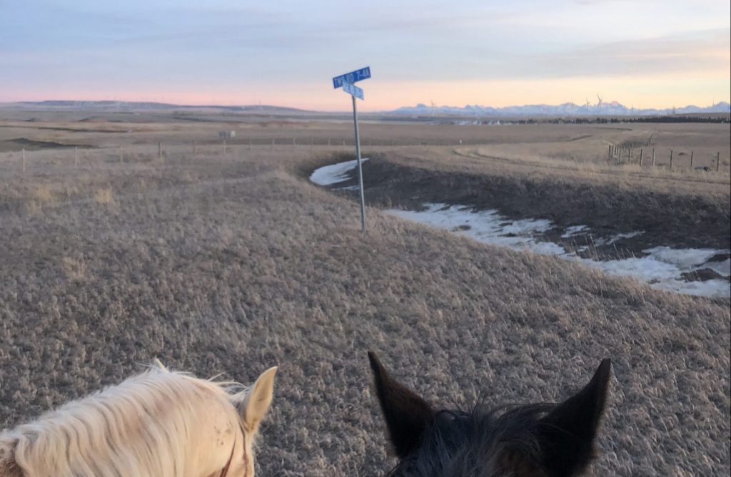 Friday night ride March 15, 2024