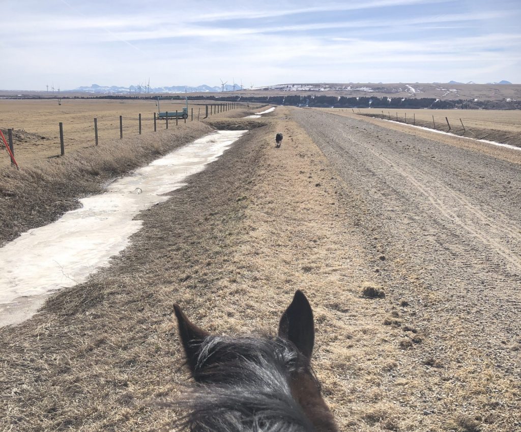 Sunday Ride- March 17th, 2024